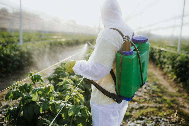 Best Wildlife Control Services  in Dundalk, MD